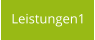 Leistungen1